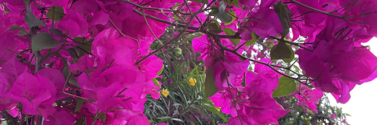 mangeshjoshi's profile banner image