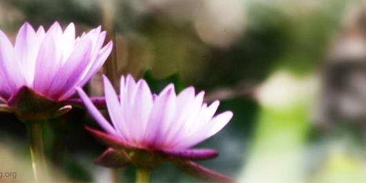 ashish_raina10's profile banner image