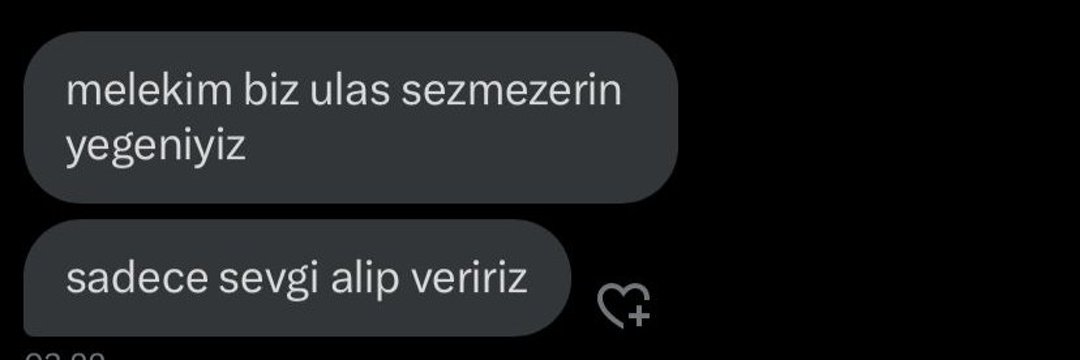 ulaş banner