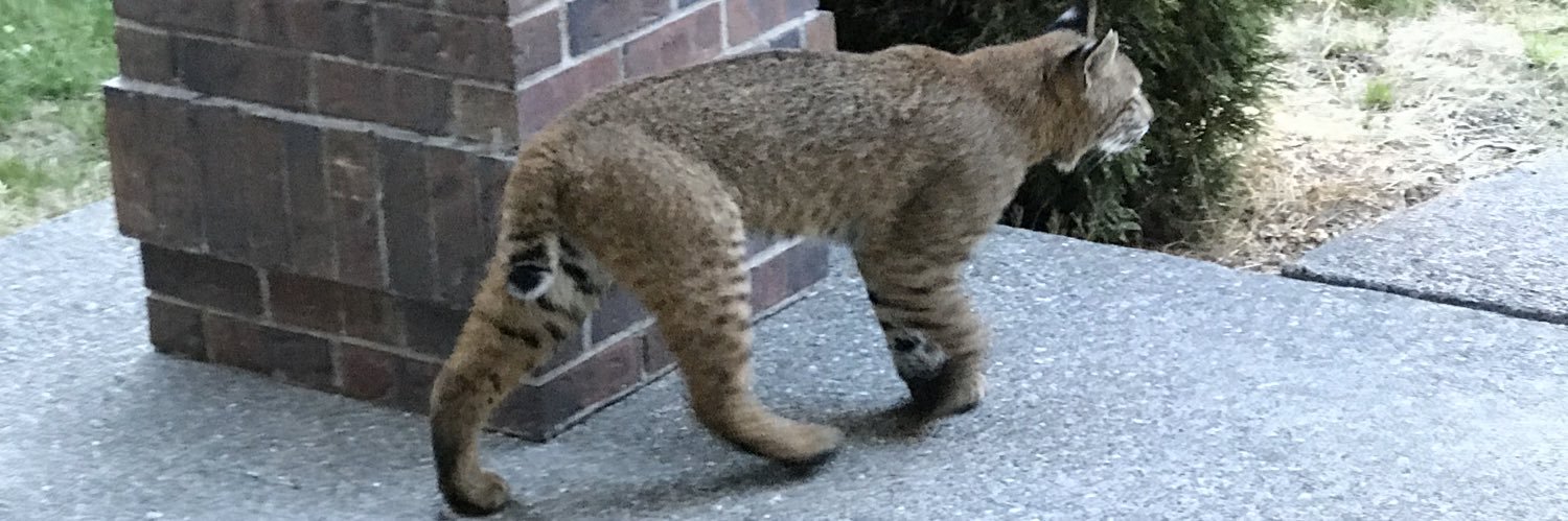 Larry Osterman banner