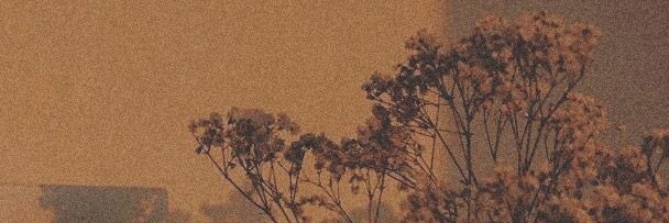 Kaarolaylen's profile banner image