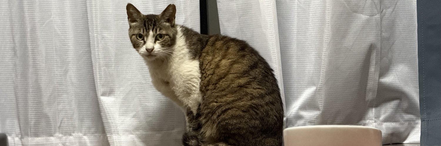 マーちゃん🐅（ハードコア） banner