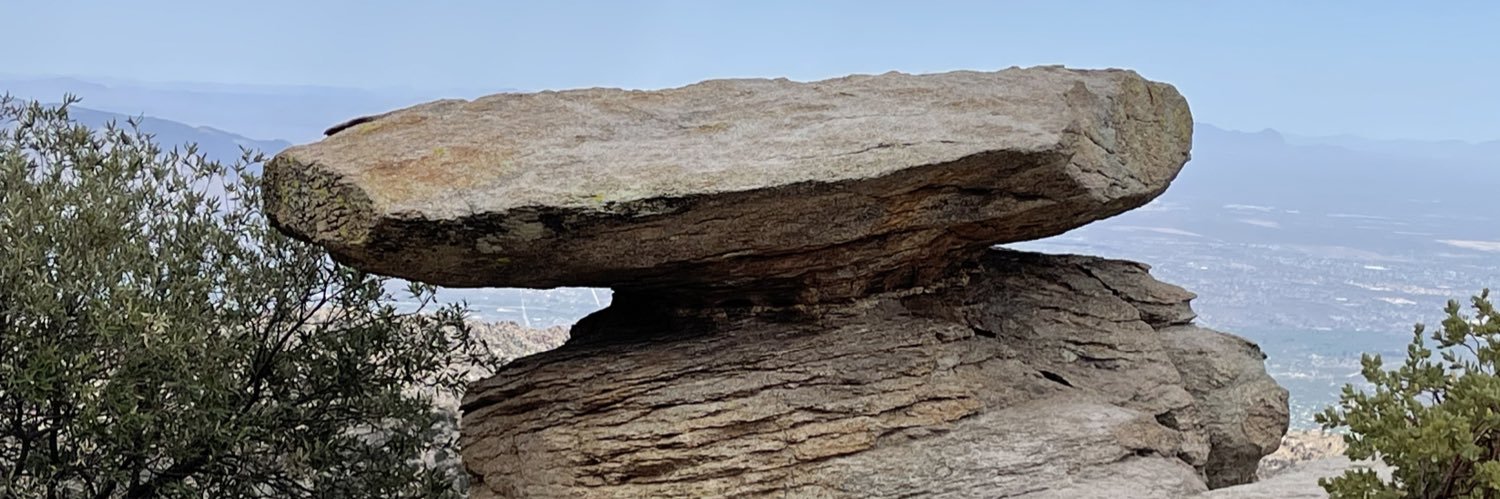 Maria Williams, MD banner