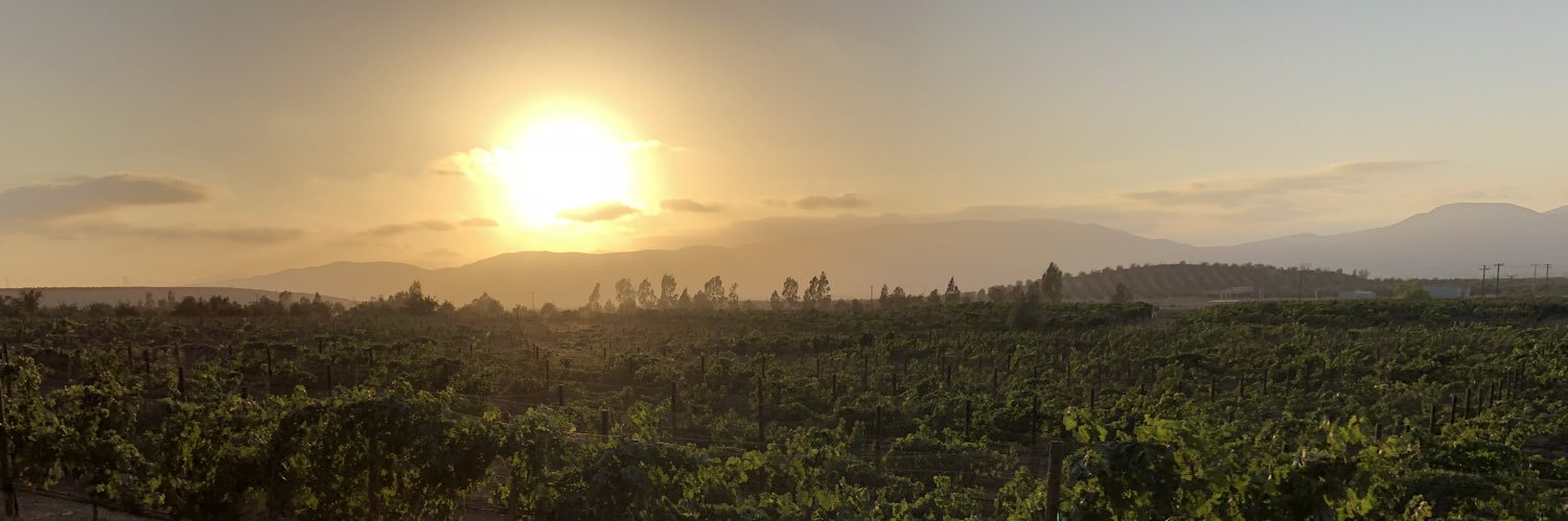 bichoraro's profile banner image