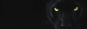 konichba's profile banner image