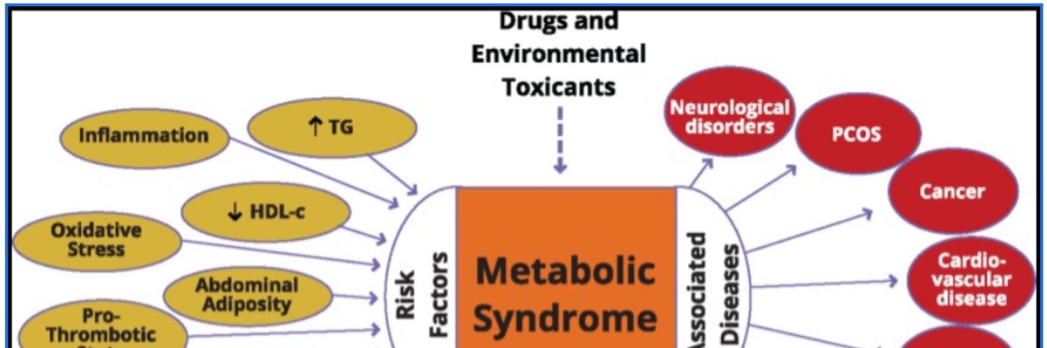 Lewis Drake, PhD banner