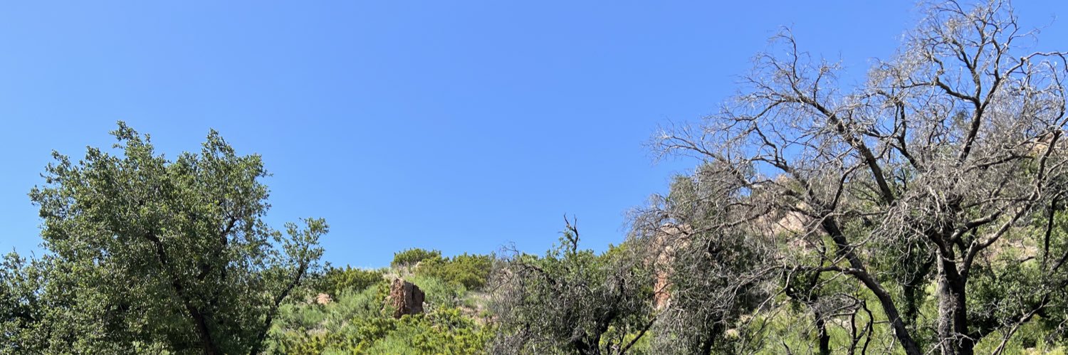 mikeout's profile banner image