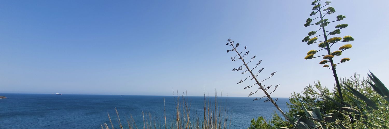 SouthRS's profile banner image