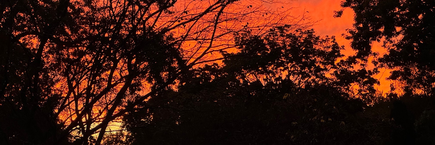 Justin Driscoll banner