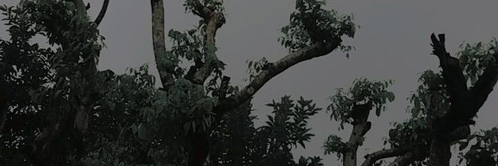 dariogb_20's profile banner image