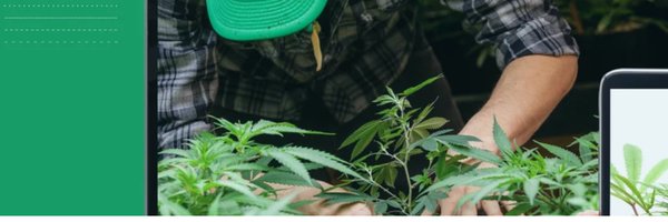 Cannabis Training University Profile Banner