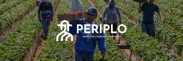 ProyectoPeriplo Profile Banner