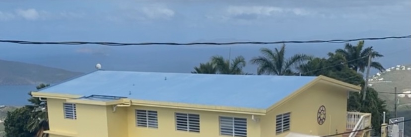 Shenseea banner