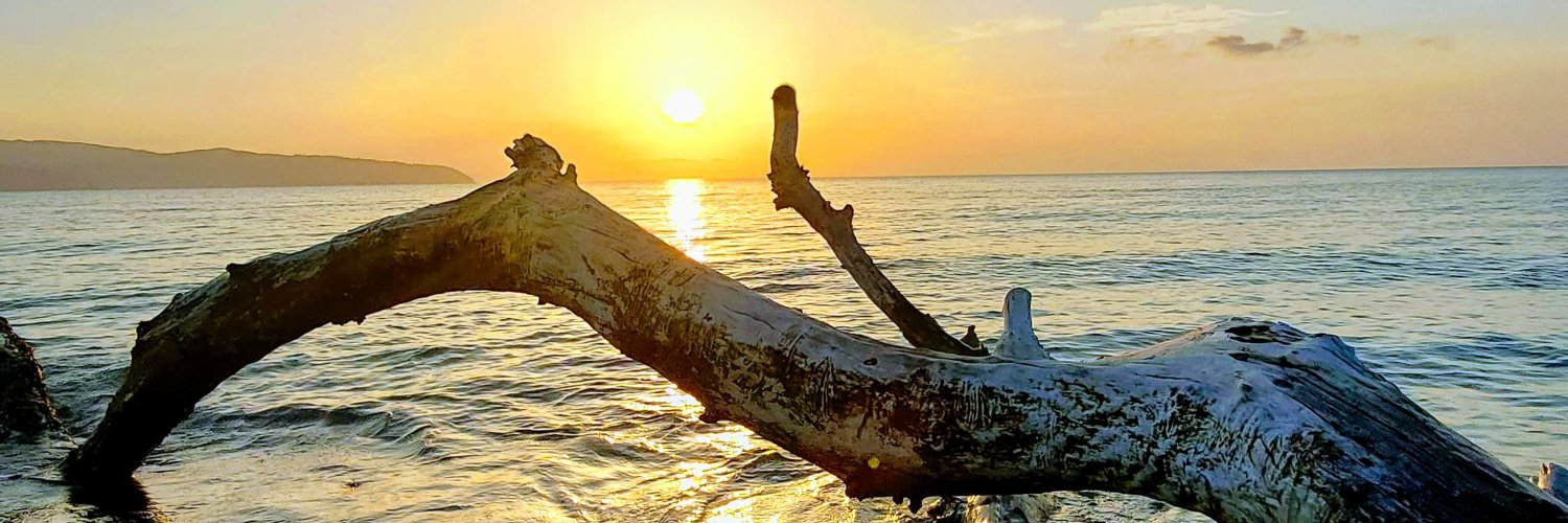 grapefruitzero's profile banner image