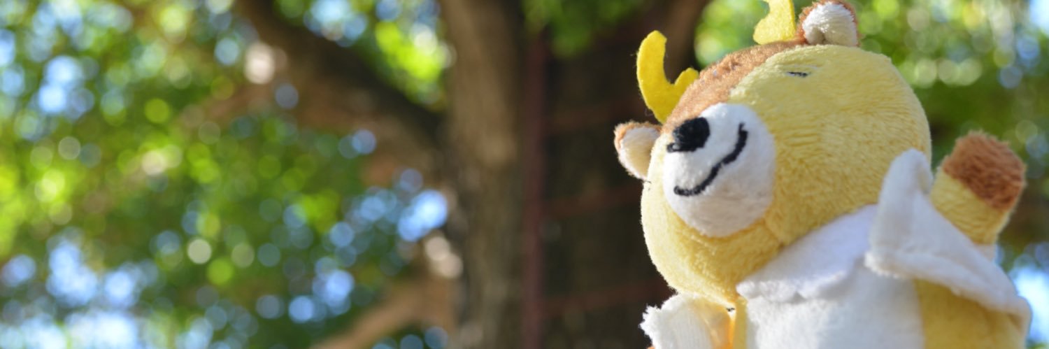 kakeji99's profile banner image