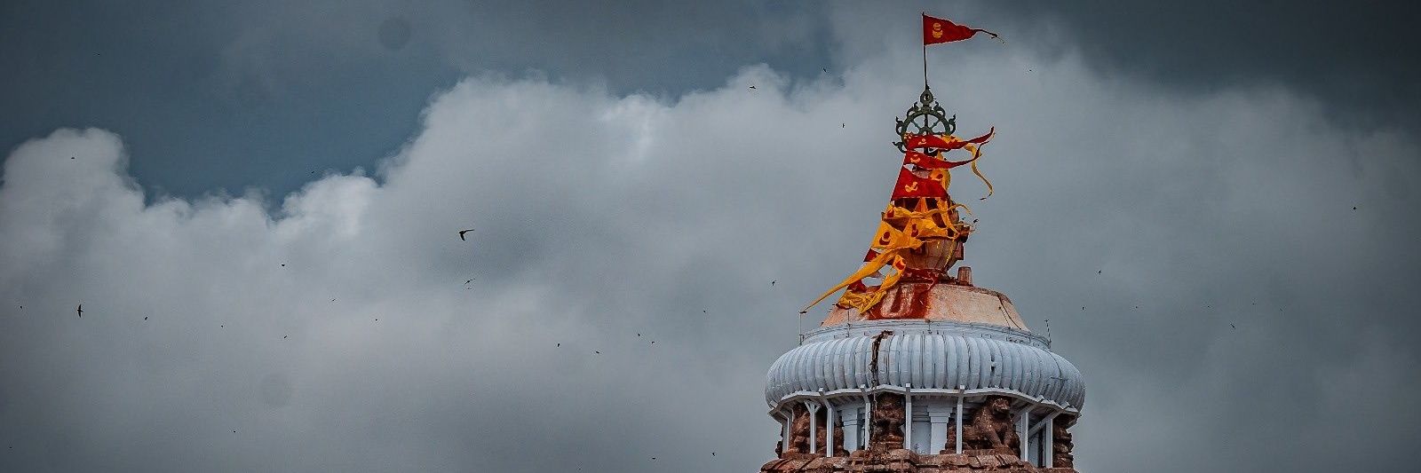 Nitish 🐦 banner