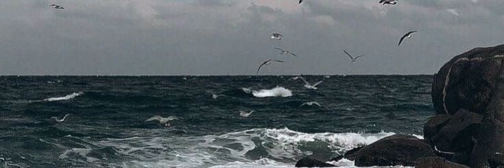 su banner