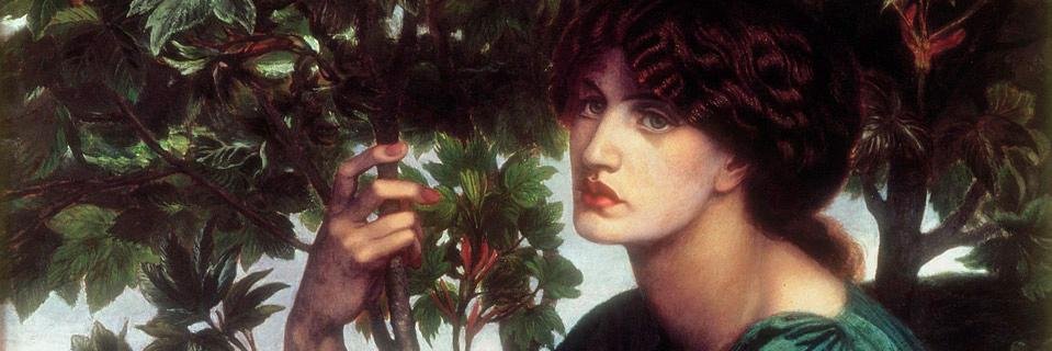 _alps's profile banner image