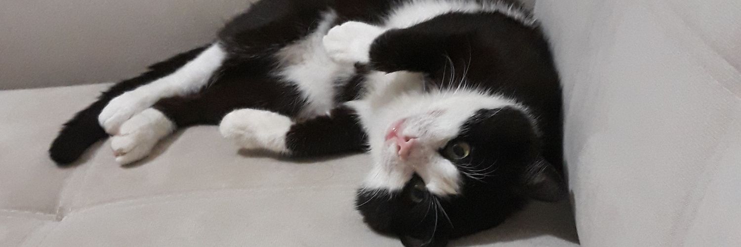 DenizAtacc's profile banner image