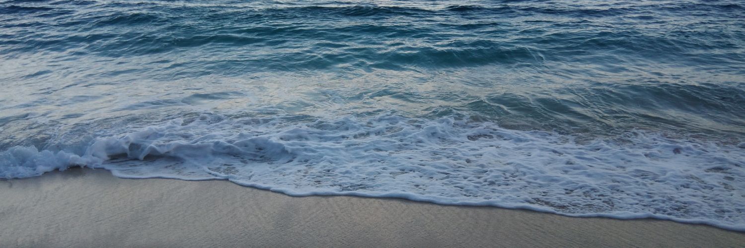 _pmct's profile banner image