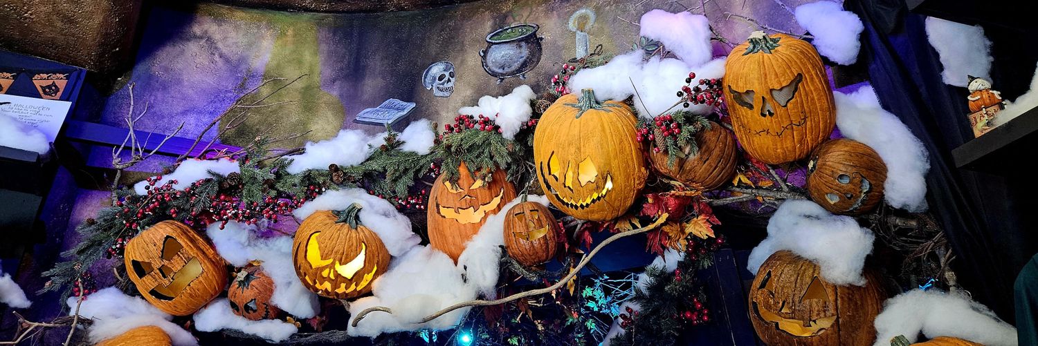 Mattferatu ⚰️🐀🕯 banner