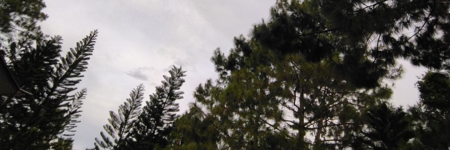 maryaprilrb_'s profile banner image