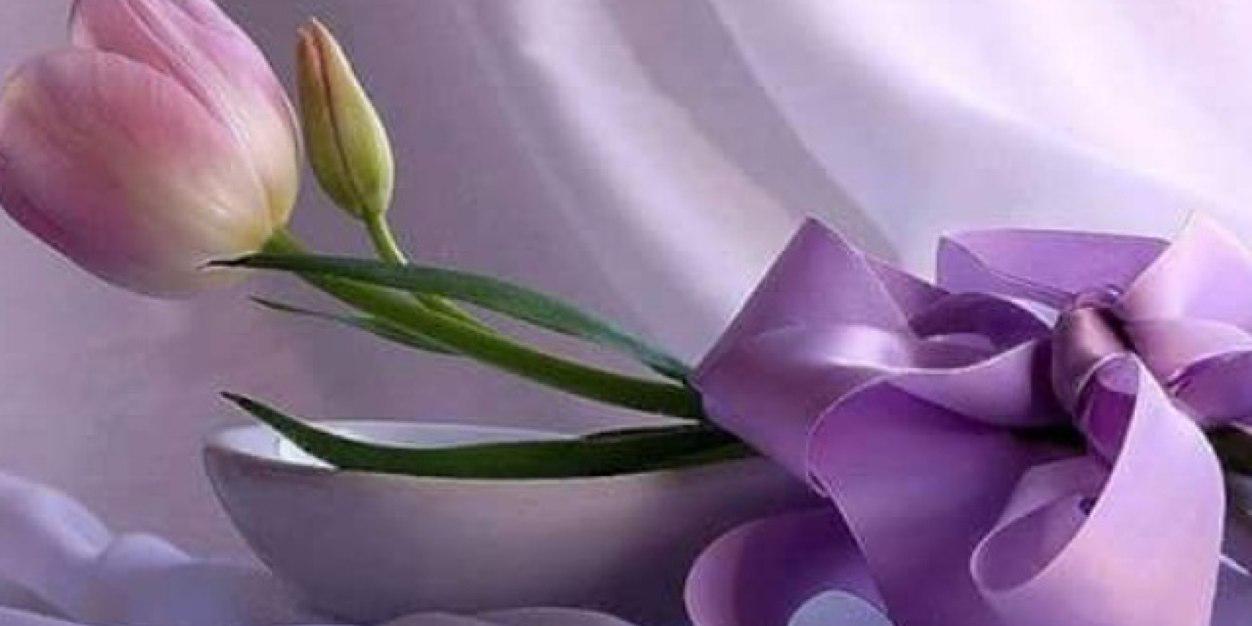 n1384's profile banner image
