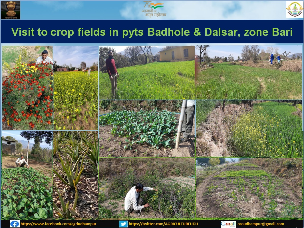 AGRICULTUREUDH's profile banner image