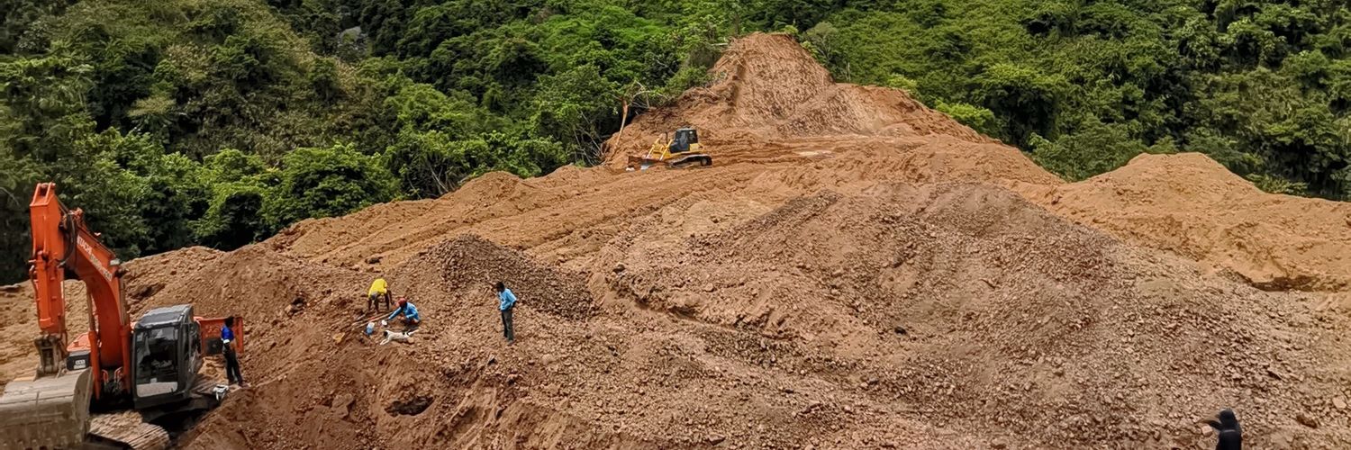 Rexis L. Ganotice Jr. banner