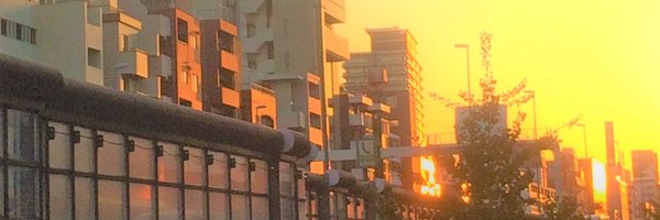 m_sakata Profile Banner