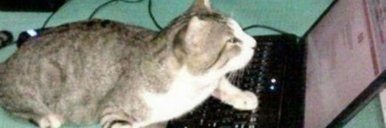 howdy_partner18's profile banner image