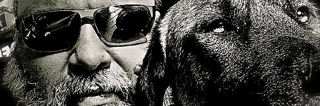 leventerim's profile banner image