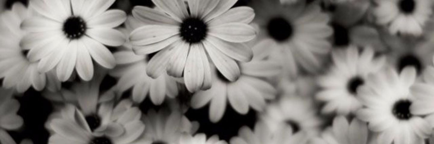 TeamMashtonPudd's profile banner image
