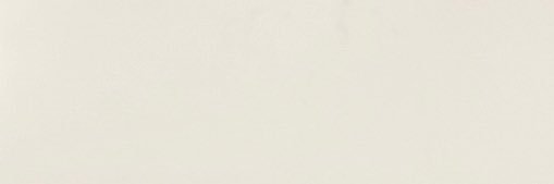 🐋 banner