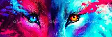 ocimder's profile banner image
