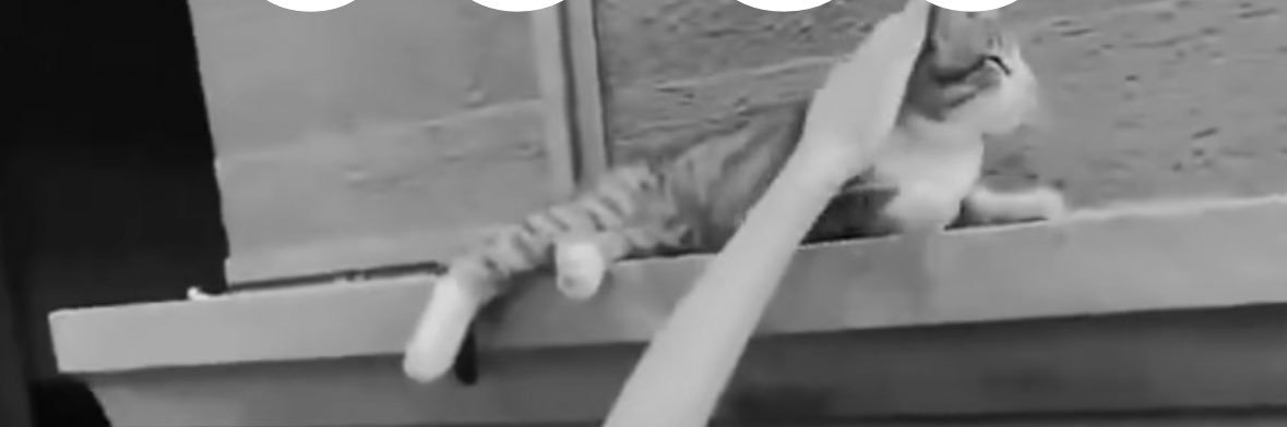 1111 banner