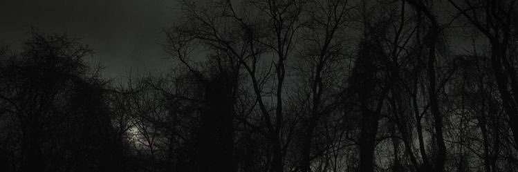 OMAR banner