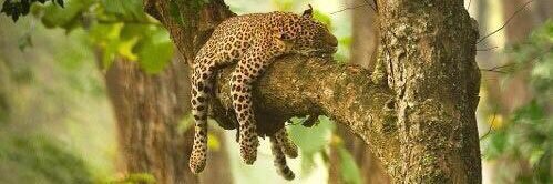 ArminYougo's profile banner image