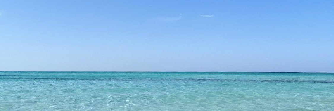 nonô banner