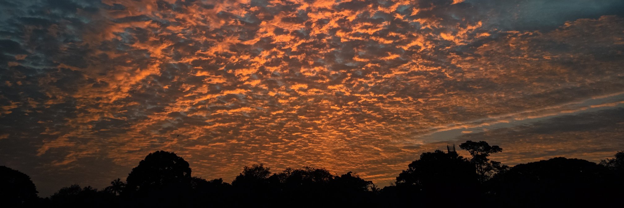 utkarsh_w's profile banner image