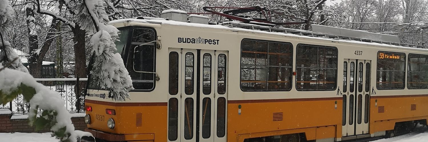 Luís Tiago Félix banner