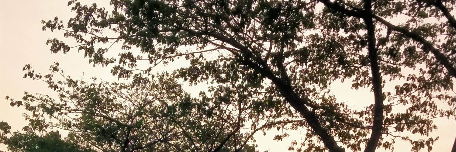 proximuke's profile banner image