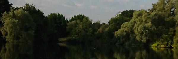 Thethoughtfult5 Profile Banner