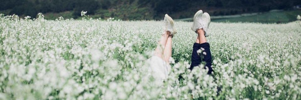 happy_helle's profile banner image