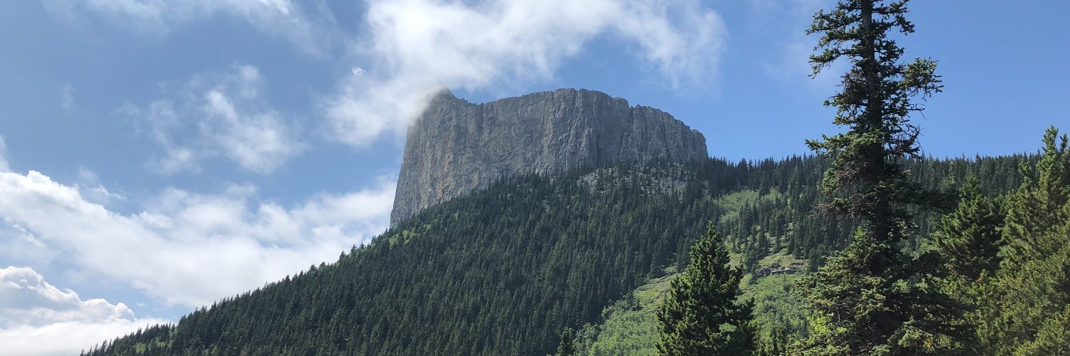 Kelly-Ann Bull banner