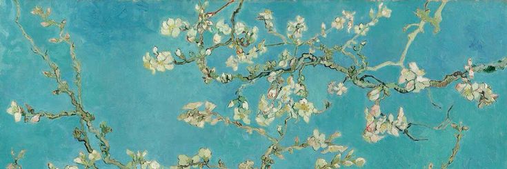 aytami 🐦‍⬛ banner