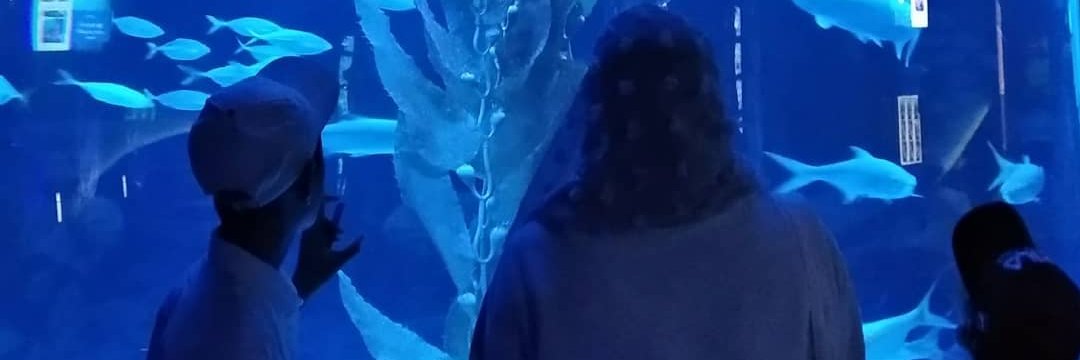 merrrlllyn's profile banner image