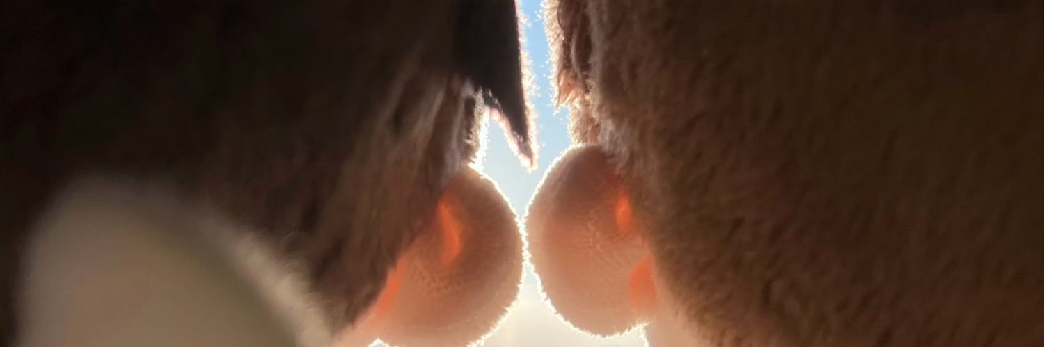 MuMu🧸✨ banner