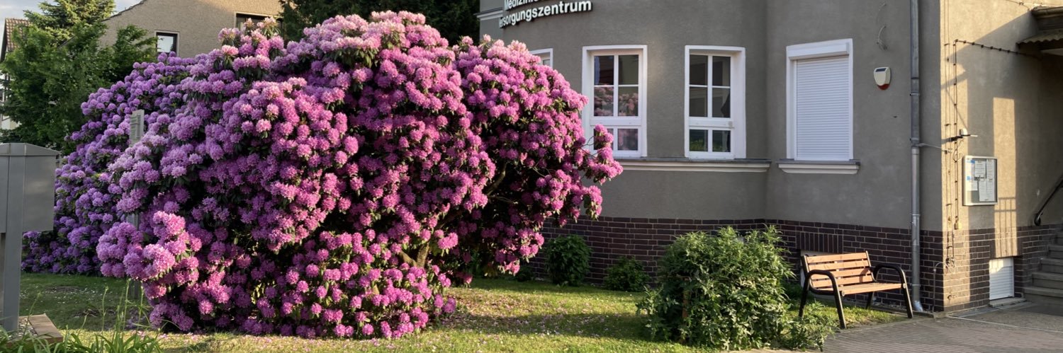 Frau Salat 🥗 banner