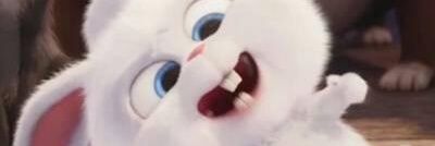 R Doge banner